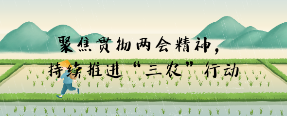 聚焦貫徹兩會(huì)精神，持續(xù)推進(jìn)“三農(nóng)”行動(dòng)